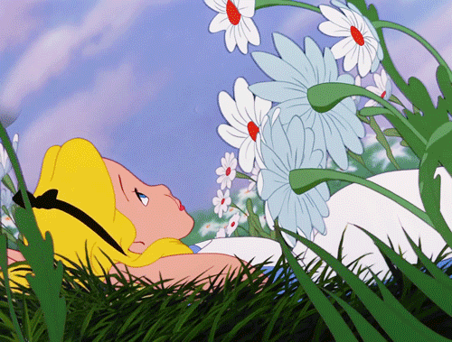 Top 10 compléments naturels pour améliorer votre sommeil