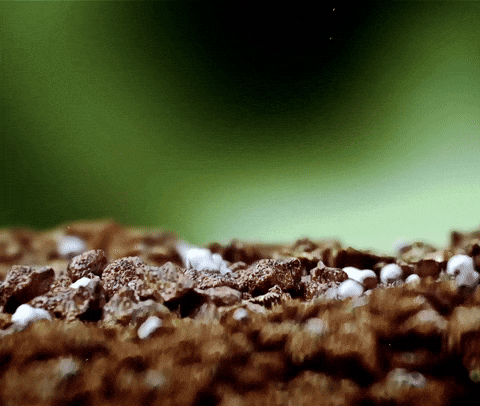 Méthodes naturelles pour arrêter de fumer : alternatives douces au sevrage tabagique