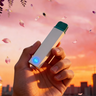 Diffuseur rechargeable