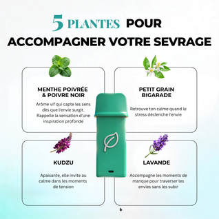 Offre Découverte ZÉRO