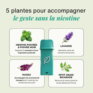 Pack Découverte - ZÉRO