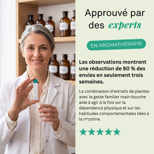 Pack Découverte - ZÉRO