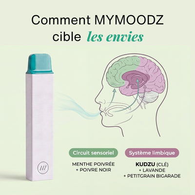 Pack Découverte - ZÉRO