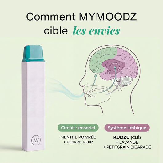 Pack Découverte - ZÉRO