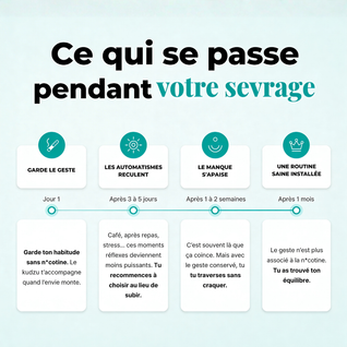 Offre Découverte ZÉRO