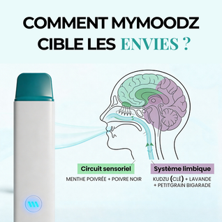 Offre Découverte ZÉRO