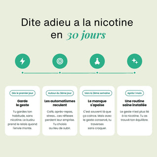 Pack Découverte - ZÉRO
