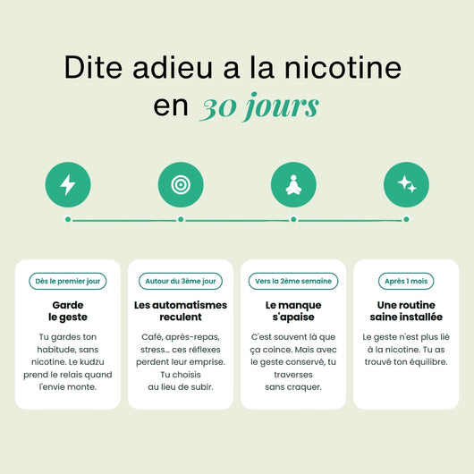 Pack Découverte - ZÉRO