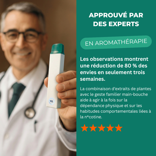 Offre Découverte - ZÉRO 2