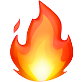 Sans <br><strong>Combustion</strong>